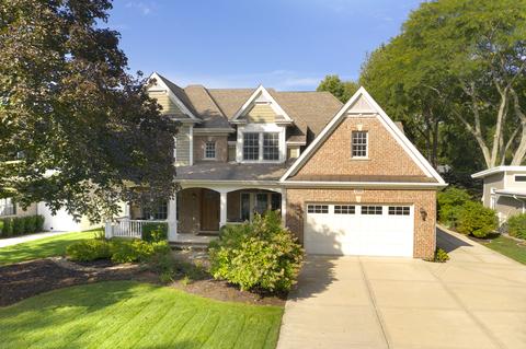 1008 James Ct, Wheaton, IL 60189 photo 62