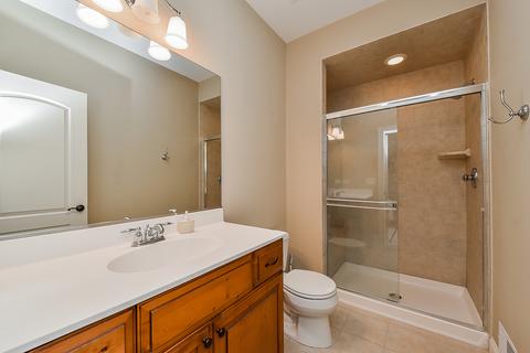 1008 James Ct, Wheaton, IL 60189 photo 38