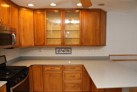 462 Harmony Dr, Wheeling, IL 60090 photo 10