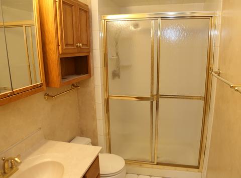 462 Harmony Dr, Wheeling, IL 60090 photo 21