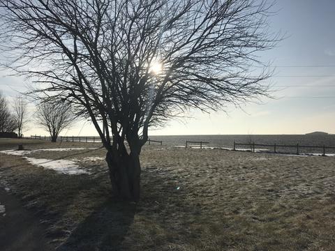 4160 E 7th Rd, Mendota, IL 61342 photo 31