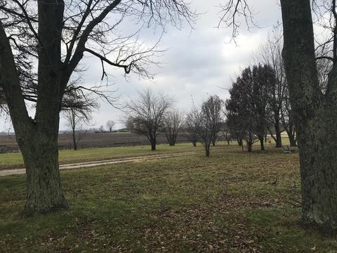 4160 E 7th Rd, Mendota, IL 61342 photo 36