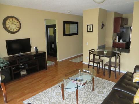 30 E Huron St #1003, Chicago, IL 60611 photo 3