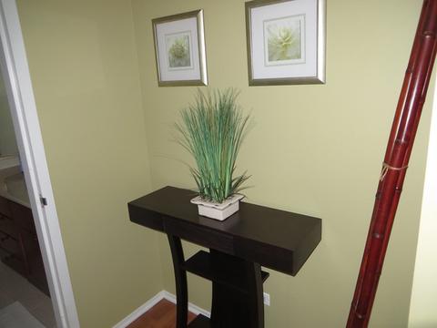 30 E Huron St #1003, Chicago, IL 60611 photo 8
