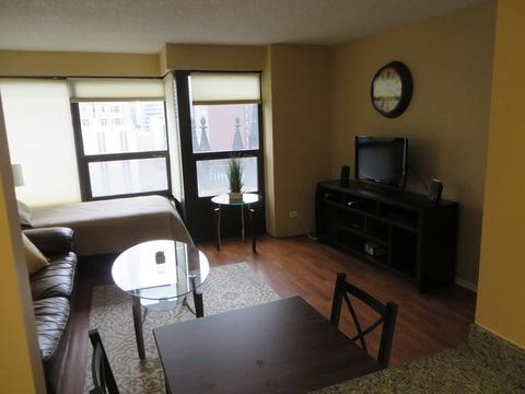 30 E Huron St #1003, Chicago, IL 60611 photo 4