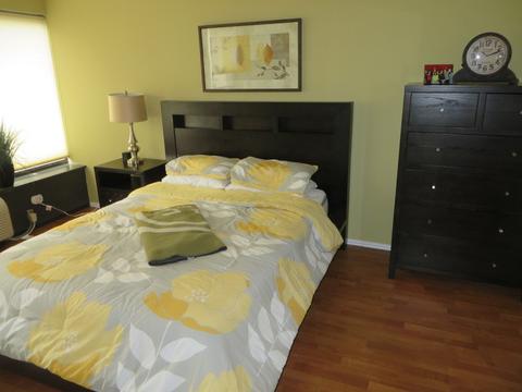 30 E Huron St #1003, Chicago, IL 60611 photo 5