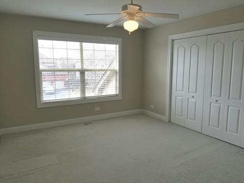 12833 Pintail Rd, Plainfield, IL 60585 photo 22