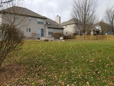 12833 Pintail Rd, Plainfield, IL 60585 photo 30