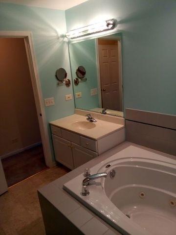 112 Deer Run Ln, Elgin, IL 60120 photo 9