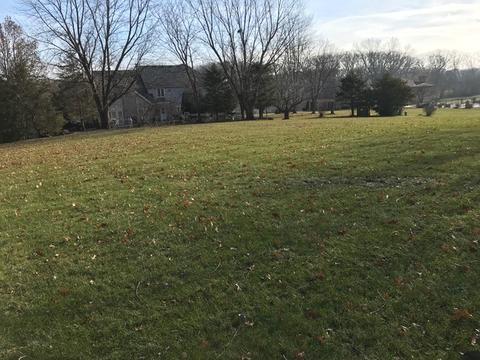8 Paddock, Lemont, IL 60439 photo 13