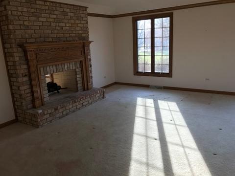 8 Paddock, Lemont, IL 60439 photo 4