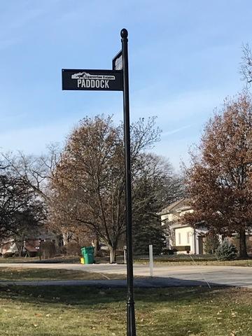 8 Paddock, Lemont, IL 60439 photo 14