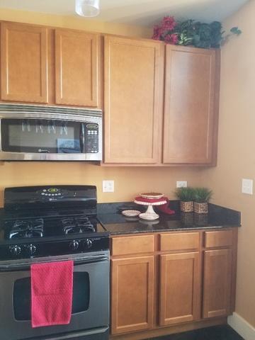 303 Front St #1402, Lemont, IL 60439 photo 18