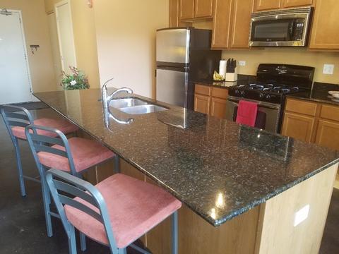 303 Front St #1402, Lemont, IL 60439 photo 19