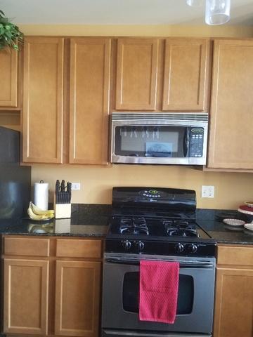 303 Front St #1402, Lemont, IL 60439 photo 17