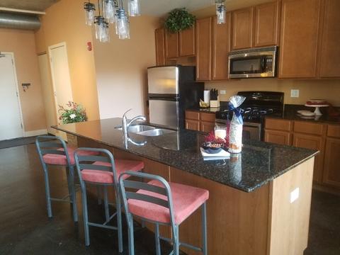 303 Front St #1402, Lemont, IL 60439 photo 13