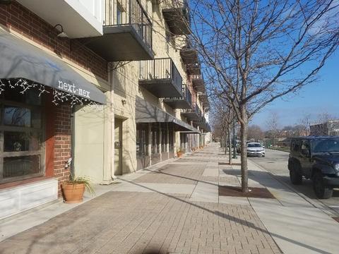 303 Front St #1402, Lemont, IL 60439 photo 64