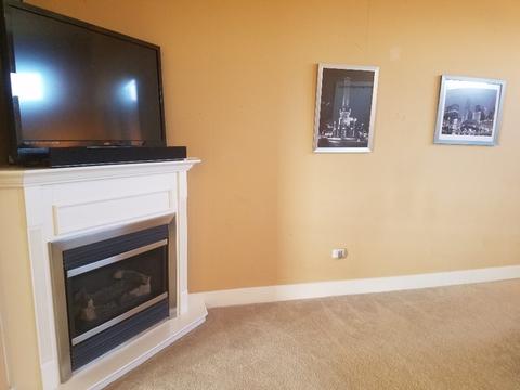 303 Front St #1402, Lemont, IL 60439 photo 27