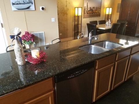303 Front St #1402, Lemont, IL 60439 photo 10