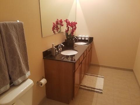 303 Front St #1402, Lemont, IL 60439 photo 32