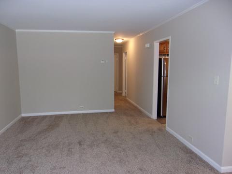 9 E Rocket Cir, Park Forest, IL 60466 photo 11