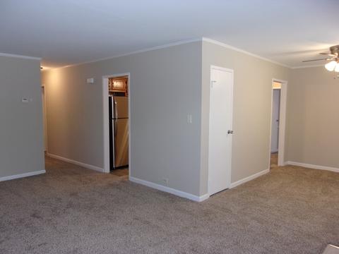 9 E Rocket Cir, Park Forest, IL 60466 photo 5