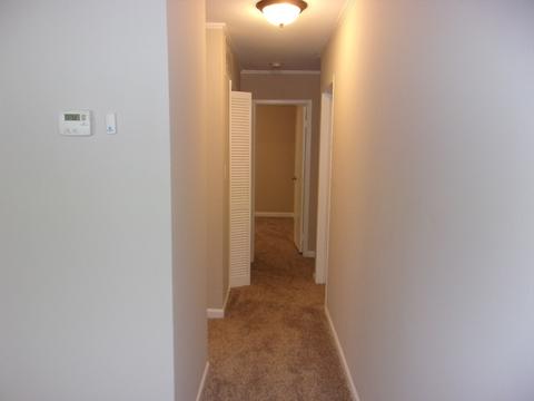 9 E Rocket Cir, Park Forest, IL 60466 photo 10