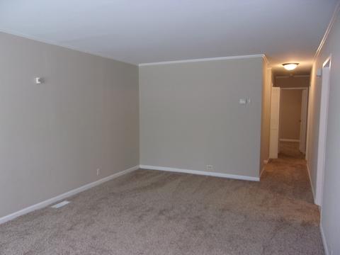 9 E Rocket Cir, Park Forest, IL 60466 photo 7