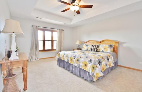 405 Feeney Dr, Minooka, IL 60447 photo 22