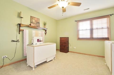 405 Feeney Dr, Minooka, IL 60447 photo 27