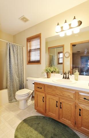 405 Feeney Dr, Minooka, IL 60447 photo 28