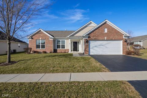 831 Rambling Brook Cir, Elgin, IL 60124 photo 1
