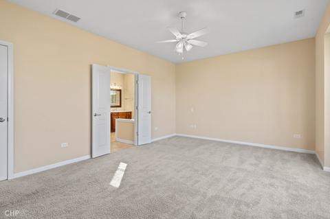 831 Rambling Brook Cir, Elgin, IL 60124 photo 17