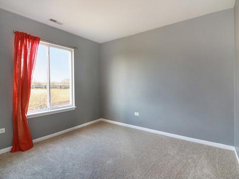 3031 Hoffman St, Plano, IL 60545 photo 20