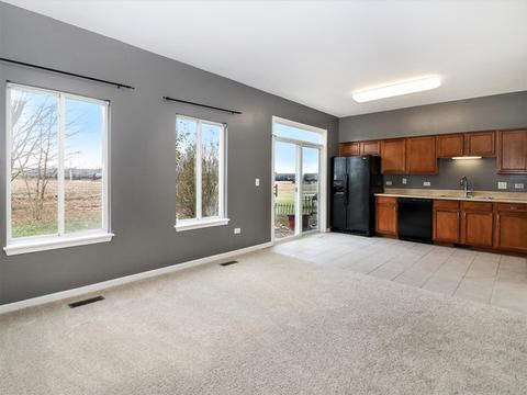 3031 Hoffman St, Plano, IL 60545 photo 12