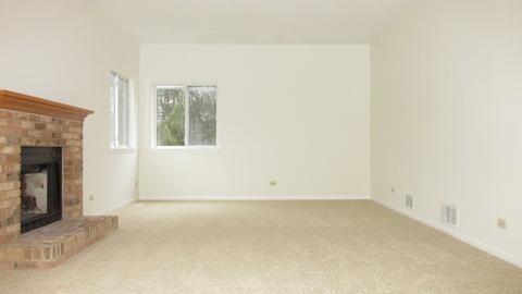 1138 Locust Ct, Bartlett, IL 60103 photo 27