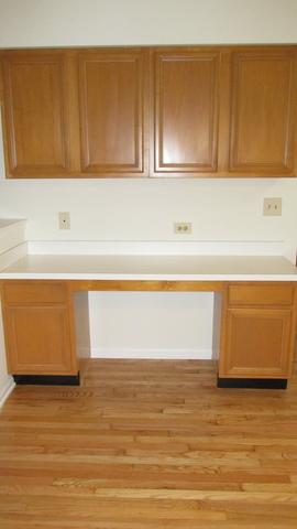 1138 Locust Ct, Bartlett, IL 60103 photo 30