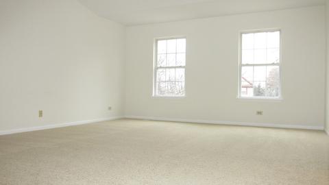 1138 Locust Ct, Bartlett, IL 60103 photo 34