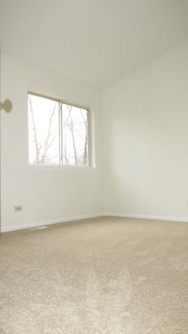 1138 Locust Ct, Bartlett, IL 60103 photo 39
