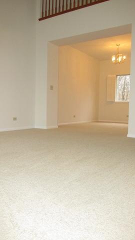 1138 Locust Ct, Bartlett, IL 60103 photo 22