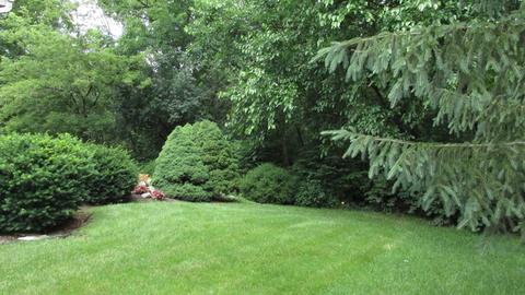 1138 Locust Ct, Bartlett, IL 60103 photo 11