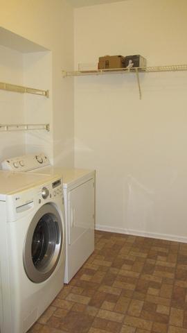 1138 Locust Ct, Bartlett, IL 60103 photo 45