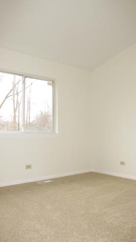 1138 Locust Ct, Bartlett, IL 60103 photo 44