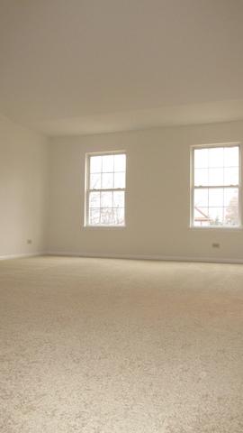 1138 Locust Ct, Bartlett, IL 60103 photo 33