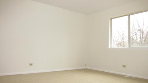 1138 Locust Ct, Bartlett, IL 60103 photo 41