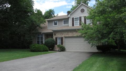 1138 Locust Ct, Bartlett, IL 60103 photo 4