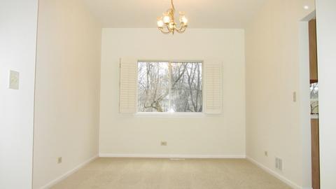 1138 Locust Ct, Bartlett, IL 60103 photo 21