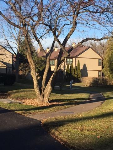 205 Stafford Dr, Wheeling, IL 60090 photo 17