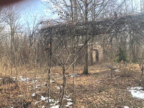 2786 Beemerville Rd, Compton, IL 61318 photo 6
