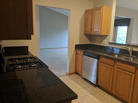 1025 Old Hunter Run, Byron, IL 61010 photo 5